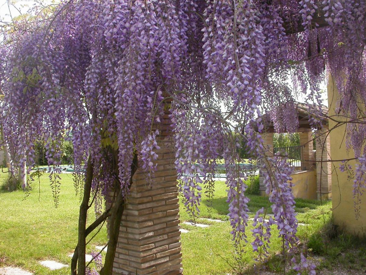Casavacanze Sant'Eugenia Attigliano Extérieur photo