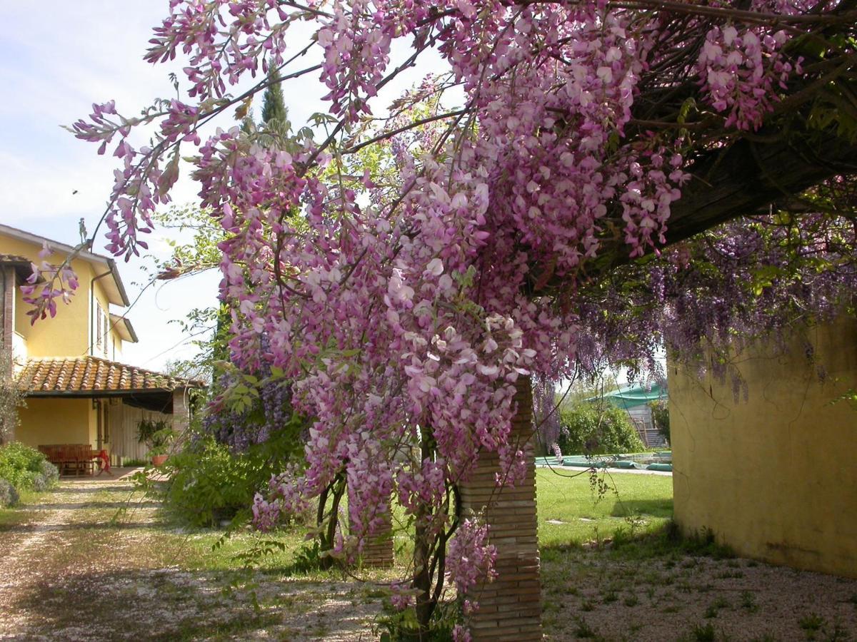 Casavacanze Sant'Eugenia Attigliano Extérieur photo